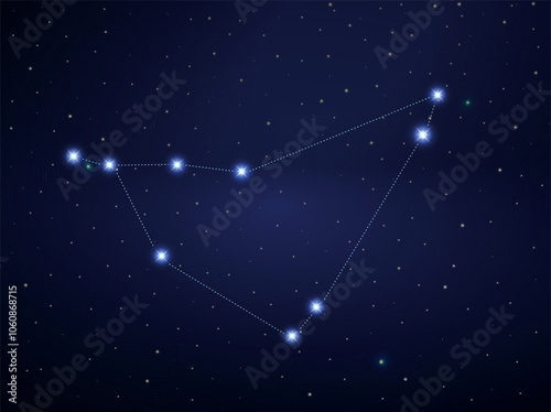 Capricorn constellation in night sky