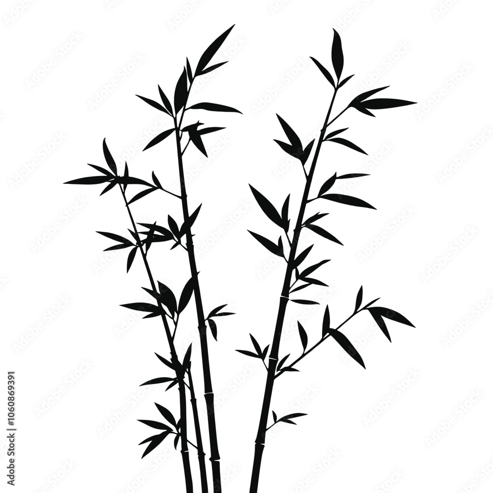Fototapeta premium Bamboo Plant Vector Art