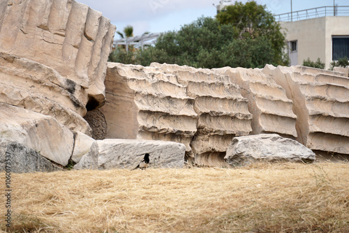 Tempio di Zeus Olimpio ed Arco di Adriano