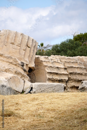 Tempio di Zeus Olimpio ed Arco di Adriano