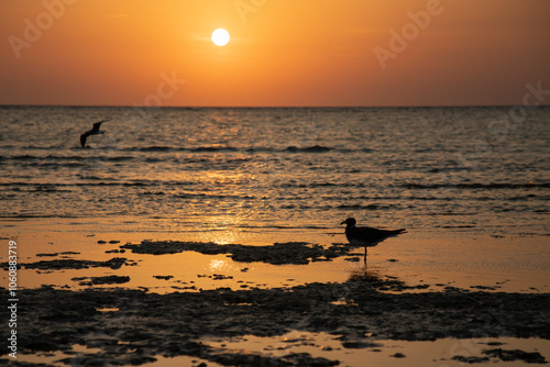 Sunrise at the sea