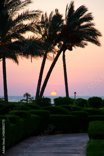 Sunrise over the sea with palm trees