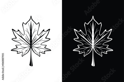 Maple leaf icon. Canada flag sign. National Canadian emblem. Black maple leaf Canada icon sign vector design on white background.