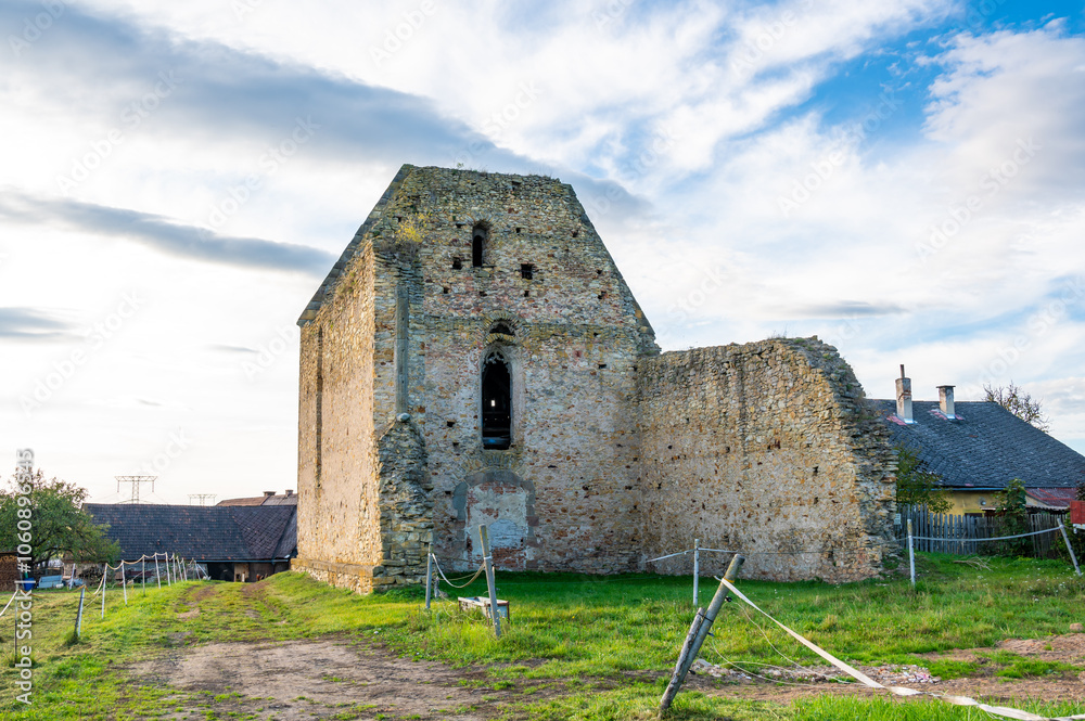 A photo of the ruins of the Koruna Svate Marie Monastery near the village of Trebarov. The ancient stone walls and arches stand as a testament
