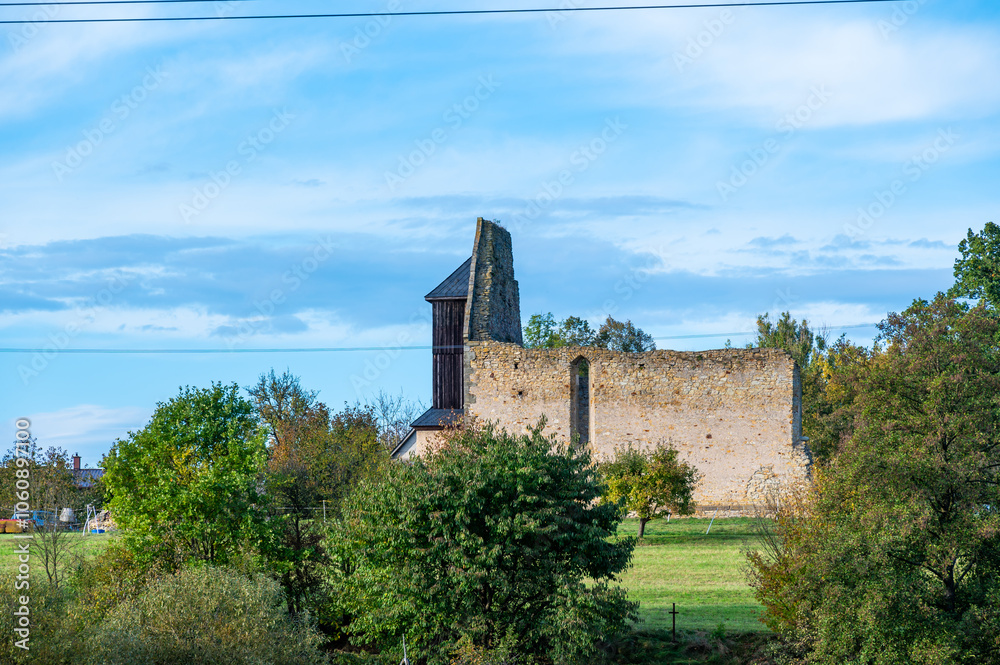 A photo of the ruins of the Koruna Svate Marie Monastery near the village of Trebarov. The ancient stone walls and arches stand as a testament