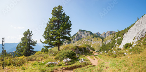 idyllic hiking route Rofan alps, Achensee area, autumnal landscape with fir trees, tyrol photo
