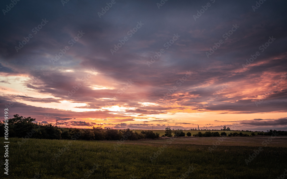 A beautiful sunset over a serene field with trees in the foreground A beautiful sunset over a serene field with trees in the foreground