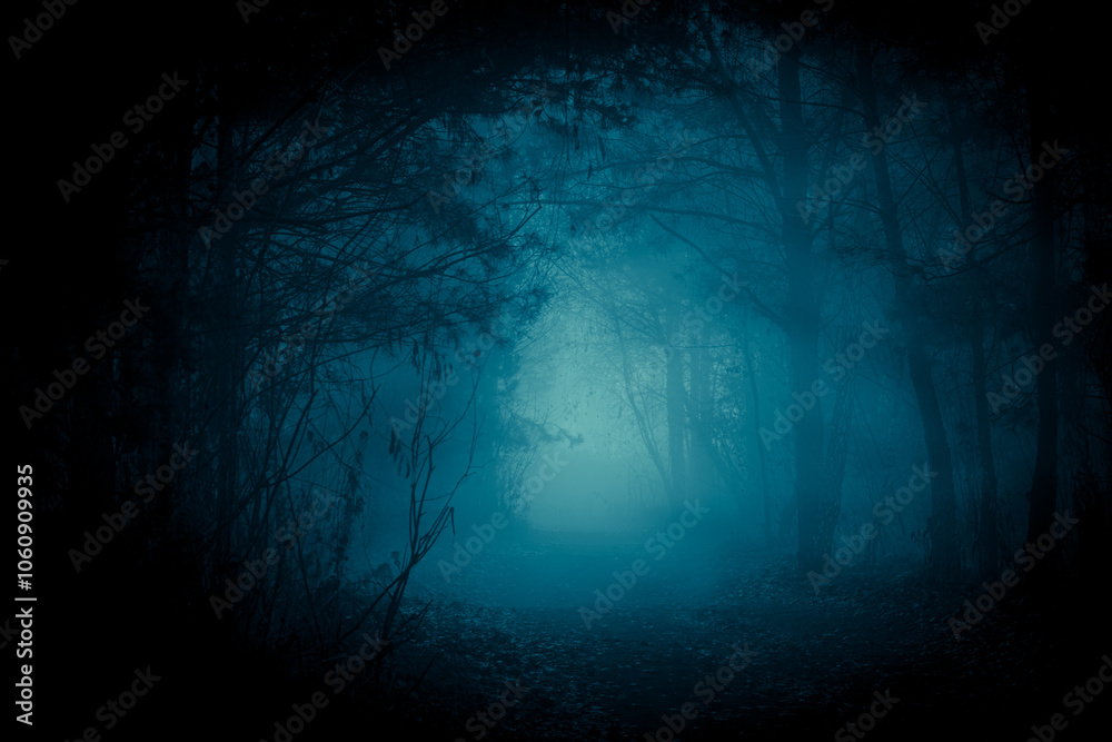 Obraz premium Mysterious pathway through the dark foggy forest in cold tones. Halloween background.