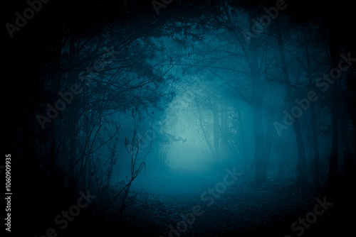 Mysterious pathway through the dark foggy forest in cold tones. Halloween background.