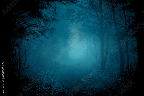 Fototapeta Naklejka Na Ścianę i Meble -  Mysterious pathway through the dark foggy forest in cold tones. Halloween background.