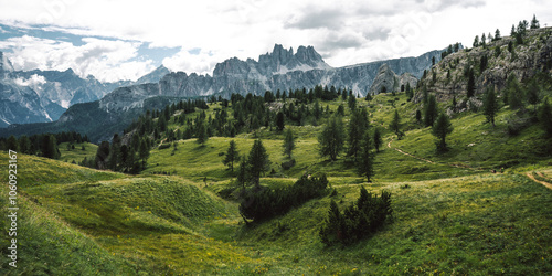 A lush green field with trees and mountains in the background
