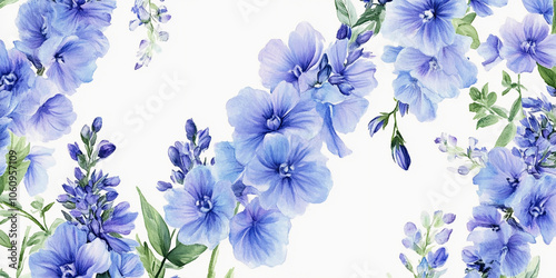 Flower isolated on white:  Beautiful purple flower on White Background, Blossom, Flower rose