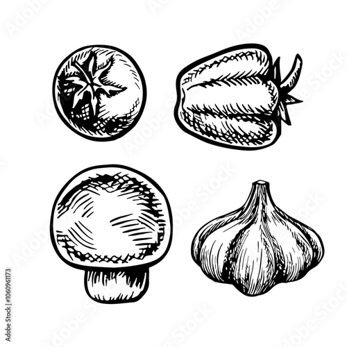 A set of vegetables, peppers, tomatoes, and garlic. Vector graphics. Black and white hand-drawn illustration. On a white background. For menus, posters or labels. For cooking recipes and packages.