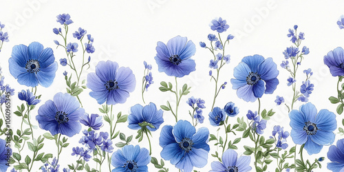 Flower isolated on white:  Beautiful purple flower on White Background, Blossom, Flower rose