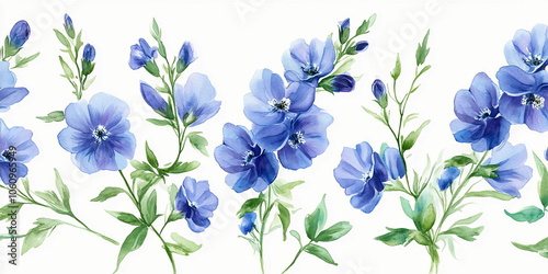 Flower isolated on white:  Beautiful purple flower on White Background, Blossom, Flower rose