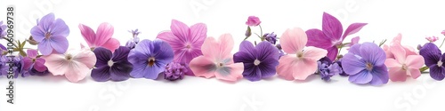 A bouquet of flowers with purple and pink flowers. The flowers are arranged in a line and are of various sizes. Scene is one of beauty and serenity