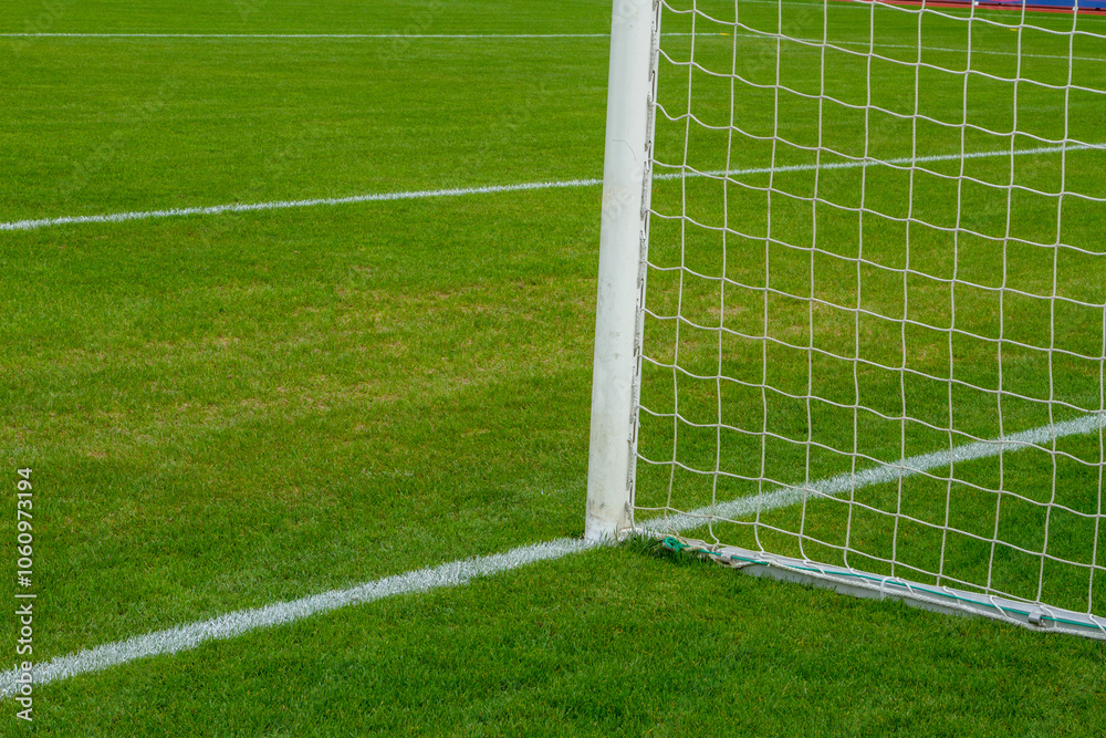Fototapeta premium WM EM Fussball