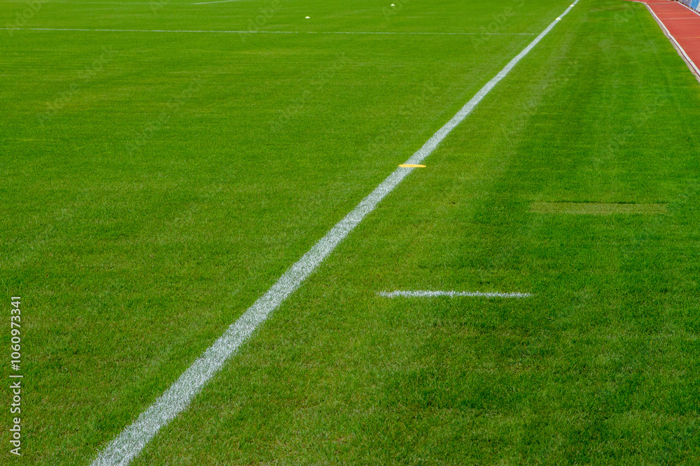 Obraz premium WM EM Fussball