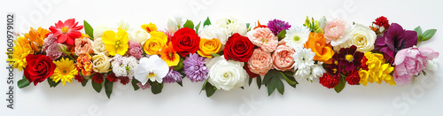 Flower isolated on white: beautiful flowers on white background, Blossom, Flower rose