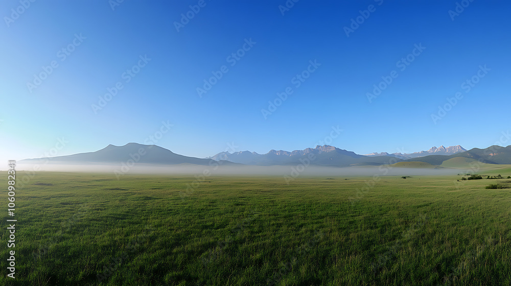 panoramic view of a foggy green meadow with mountains in the background, a blue sky, the sunny morning light panoramic view of a foggy green meadow with mountains in the background, a blue sky, the sunny morning light
