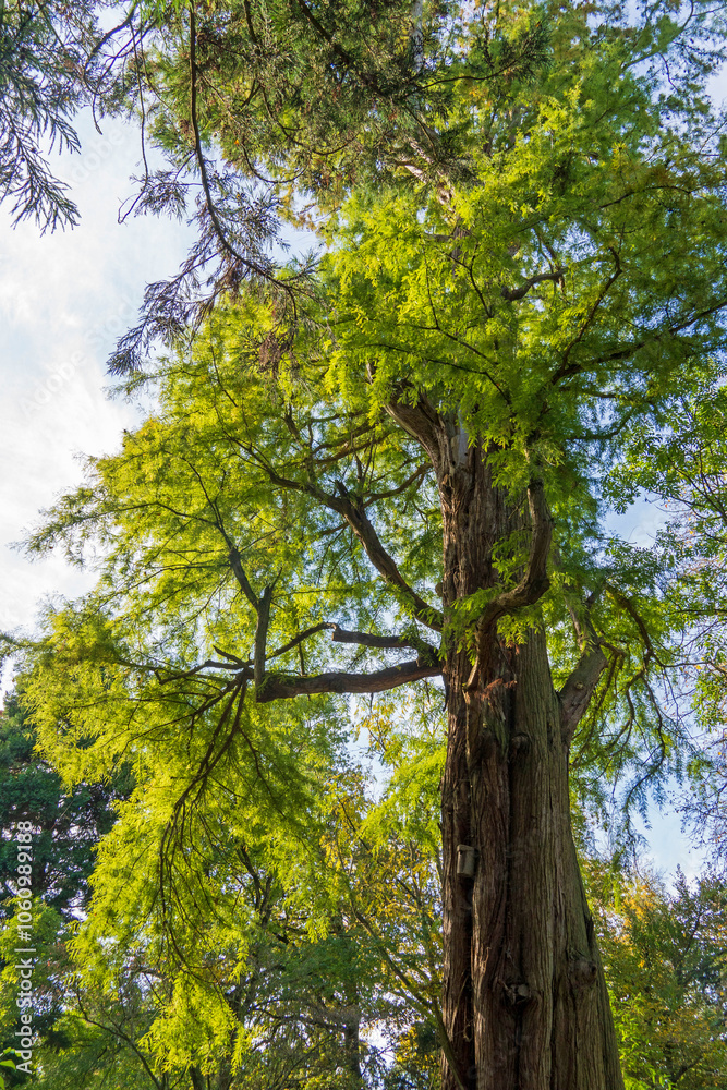 Park von Schloss Paffendorf Park von Schloss Paffendorf