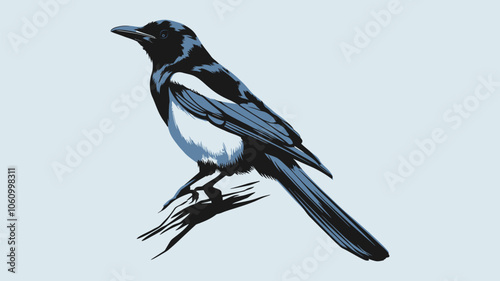 Elegant Magpie Illustration on a Simple Branch 