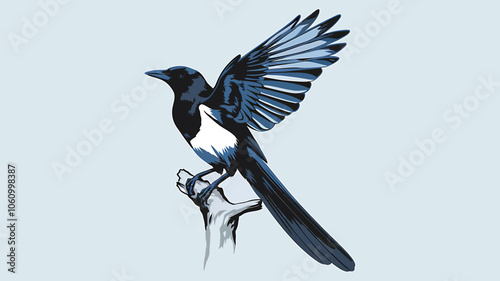 Elegant Magpie Illustration on a Simple Branch 