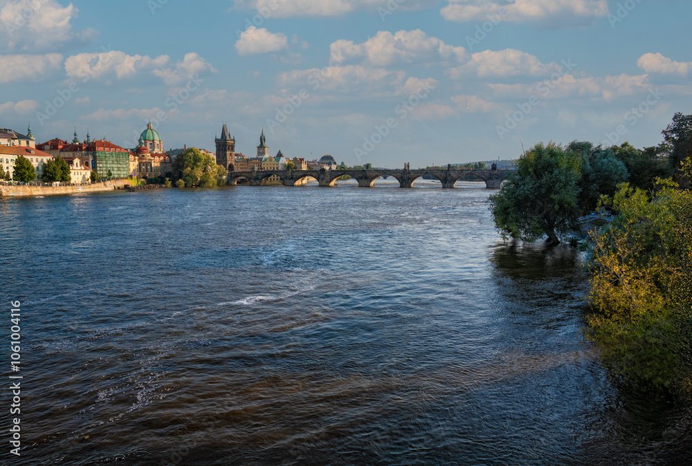 Obraz premium river with bridge and old town