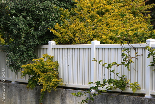 Green plants and flowers grow along the high fence