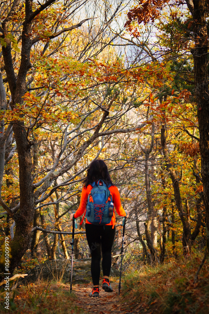 A woman makes her way along a winding forest path, surrounded by the rich hues of autumn. Her sturdy backpack and trekking poles suggest a passion for adventure amidst nature's beauty. A woman makes her way along a winding forest path, surrounded by the rich hues of autumn. Her sturdy backpack and trekking poles suggest a passion for adventure amidst nature's beauty.