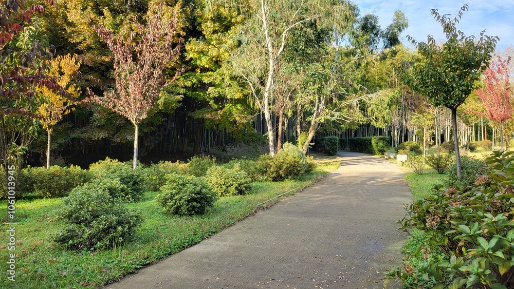 Path in a botanical garden, trees with bright yellow and green leaves grow along the edges Path in a botanical garden, trees with bright yellow and green leaves grow along the edges
