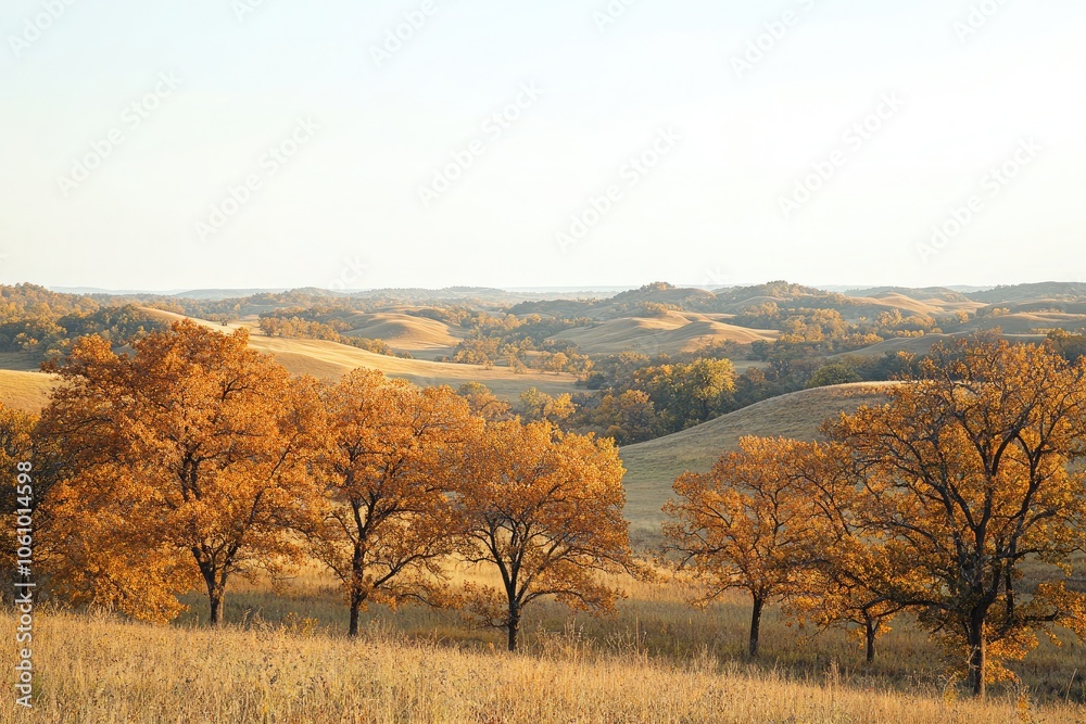 An open field dotted with trees in full autumn splendor, surrounded by rolling hills and a clear sky, creating a serene and peaceful landscape. An open field dotted with trees in full autumn splendor, surrounded by rolling hills and a clear sky, creating a serene and peaceful landscape.