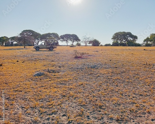 Landscape in Makgadikgadi Pans, Botswana photo