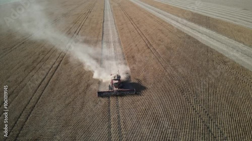 Red Harvester in Action: Soybean Harvesting