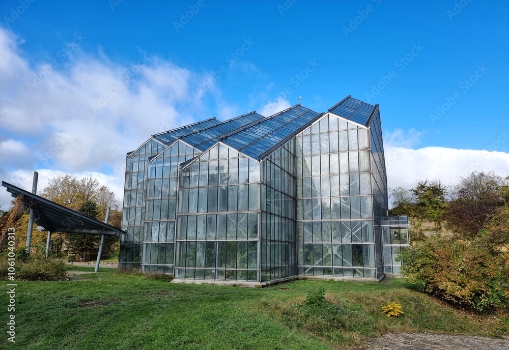 rainforest house with plants rainforest house with plants