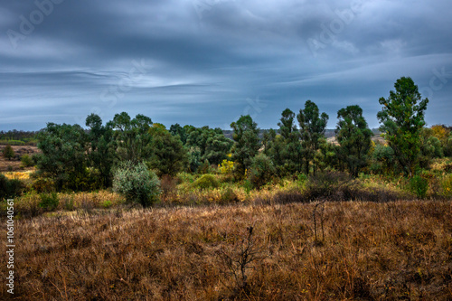 Landscape photography on the field with big and smooth clouds in the sky,Stormy weather on the picture.Big blue clouds iver the forest nd field, morning landscape in the woodlands.Aurumn blue hour,