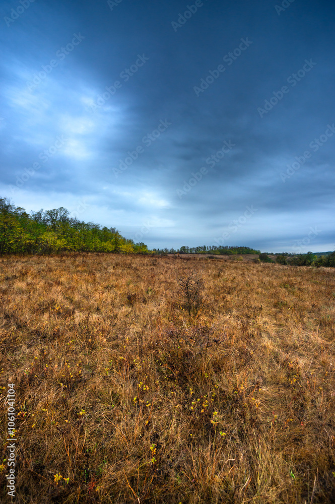 Landscape photography on the field with big and smooth clouds in the sky,Stormy weather on the picture.Big blue clouds iver the forest nd field, morning landscape in the woodlands.Aurumn blue hour, Landscape photography on the field with big and smooth clouds in the sky,Stormy weather on the picture.Big blue clouds iver the forest nd field, morning landscape in the woodlands.Aurumn blue hour,