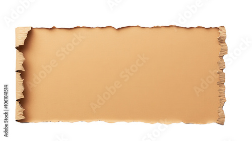 Single Torn Kraft Paper Strip on White Background