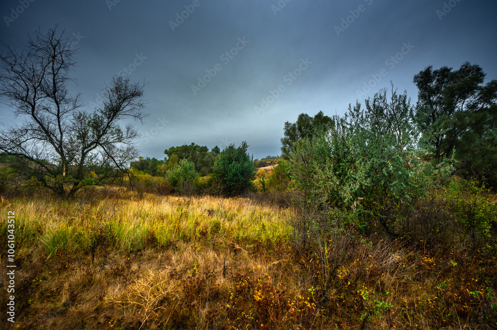 Landscape photography on the field with big and smooth clouds in the sky,Stormy weather on the picture.Big blue clouds iver the forest nd field, morning landscape in the woodlands.Aurumn blue hour, Landscape photography on the field with big and smooth clouds in the sky,Stormy weather on the picture.Big blue clouds iver the forest nd field, morning landscape in the woodlands.Aurumn blue hour,