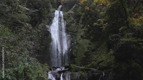 Akita,Japan - October 30, 2024: Mikaeri fall in Akita, Japan photo