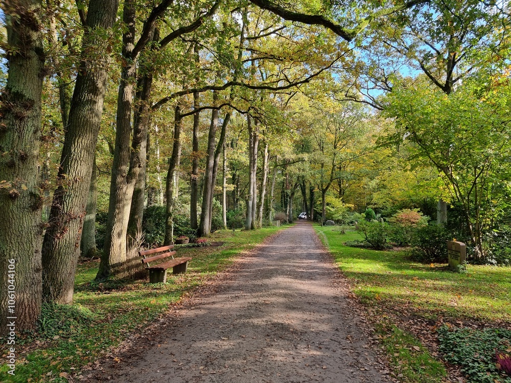 path in the park path in the park