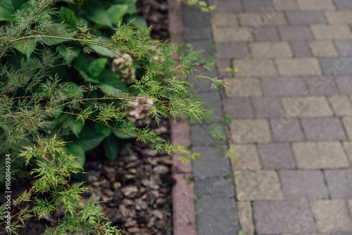 Beautiful summer garden with a walkway winding its way through