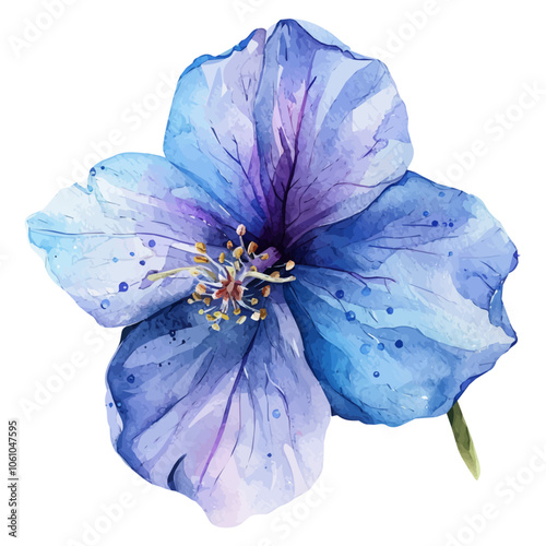 A watercolor vector of Glory of the Snow flower, isolated on a white background. photo