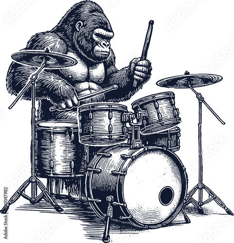 gorilla playing drums style engraving hand drawn vector
