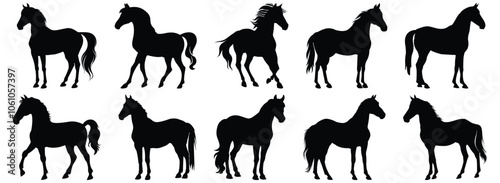 Horse silhouette set vector design big pack of animal illustration and icon