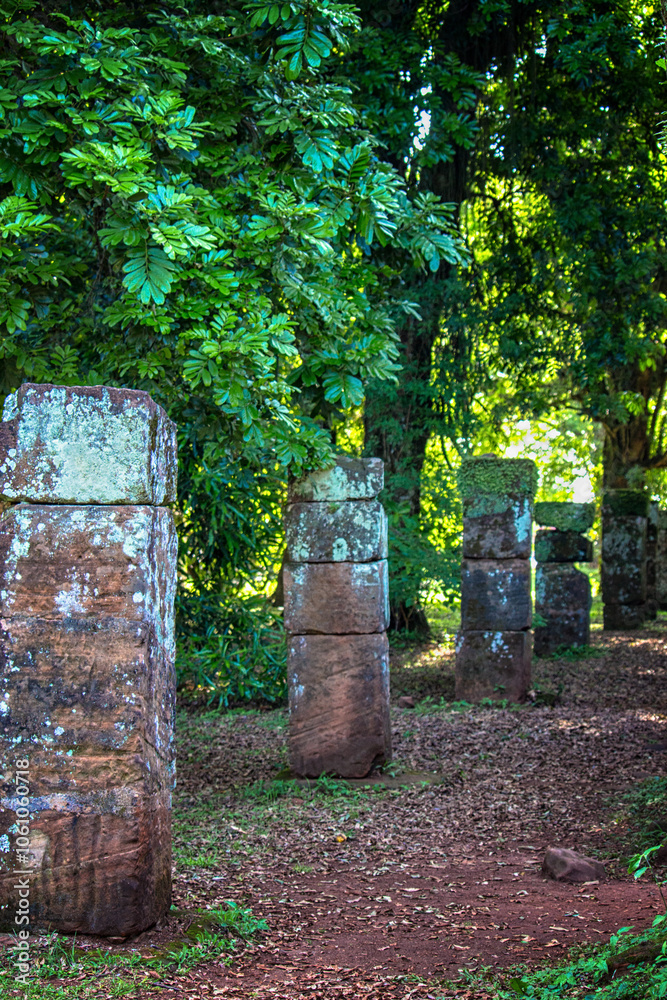 Details of columns covered in moss in the grounds of the Ruins of San Ignacio, Misiones Argentina Details of columns covered in moss in the grounds of the Ruins of San Ignacio, Misiones Argentina