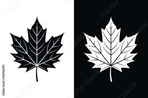 Maple leaf icon. Canada flag sign. National Canadian emblem. Black maple leaf Canada icon sign vector design on white background.