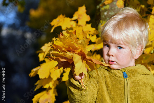 Portrait of little boy over yellow marple leaf background photo