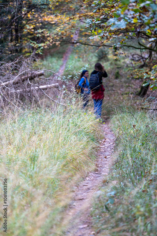 Naklejka premium Herbst in Erlangen