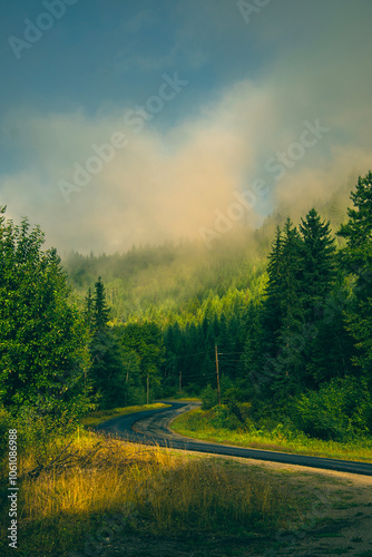 Road with clouds in the forest photo